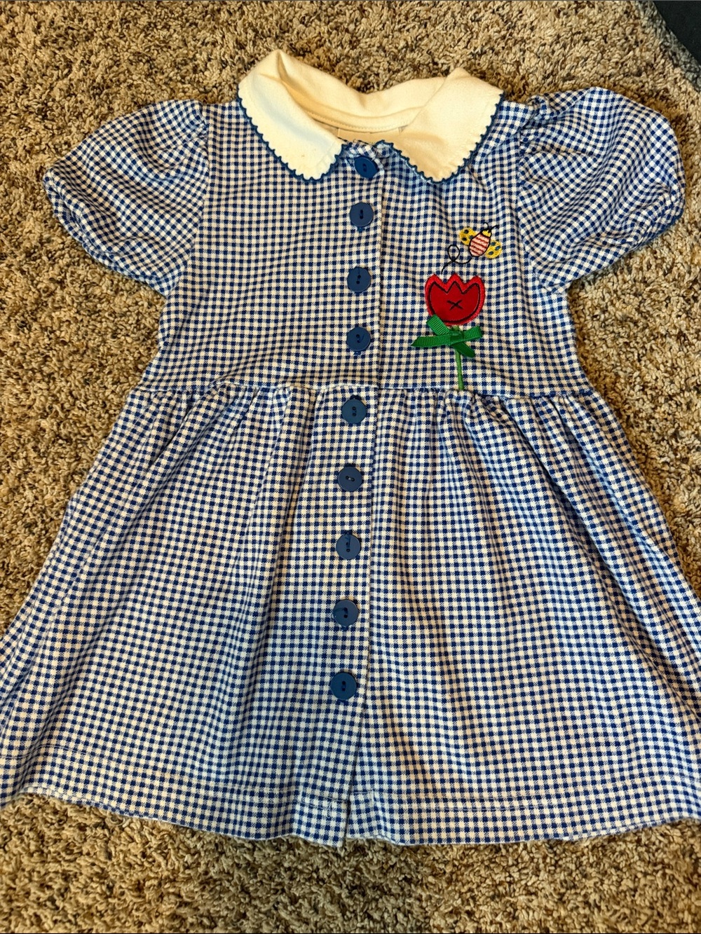 Vintage Blue Gingham Tulip Embroidered Kids Dress